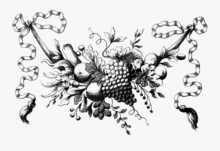 Vector Fruits Vintage - Vintage Illustration Fruits, Transparent Clipart