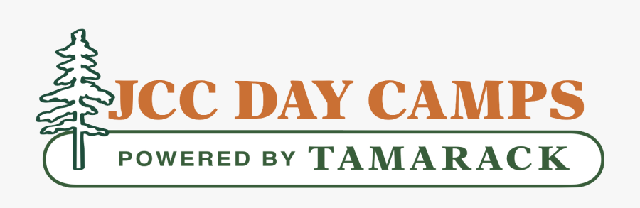 Graphics, Transparent Clipart