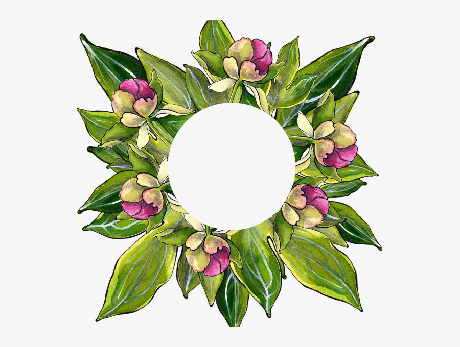 Transparent Peony Outline Png - Bouquet, Transparent Clipart