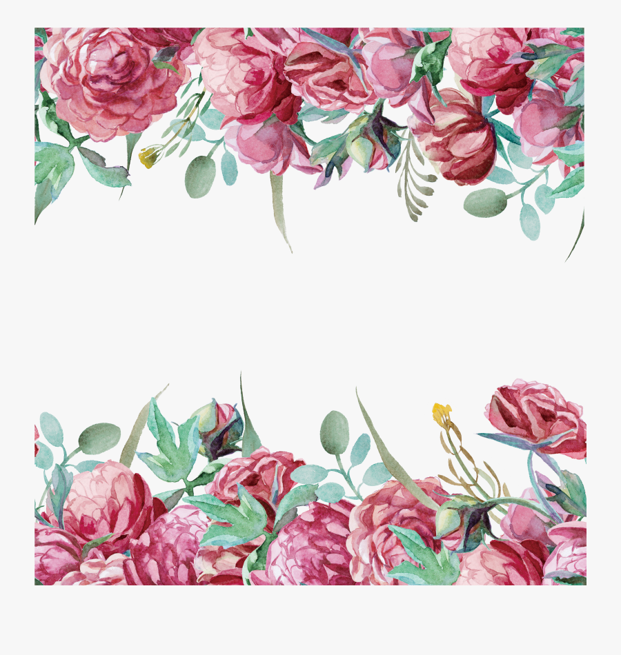 Peonies Clipart, Transparent Clipart