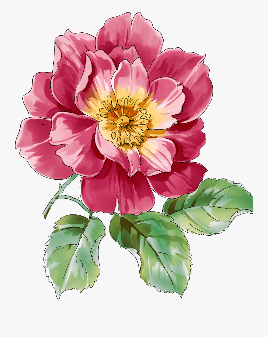 Transparent Botanical Clipart - Paintings Of Flower Peony, Transparent Clipart