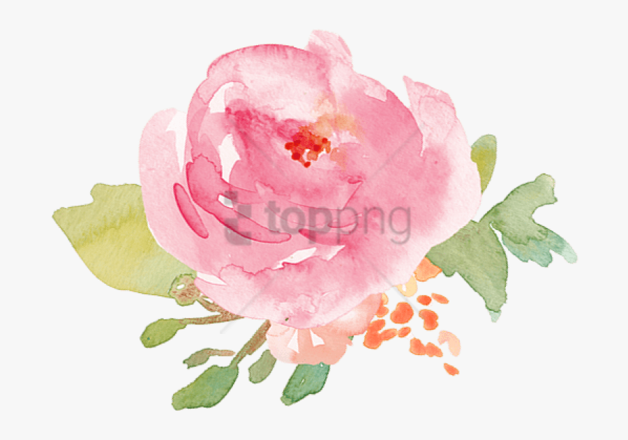 Transparent Flowers Image With - Pink Watercolor Flower Png, Transparent Clipart