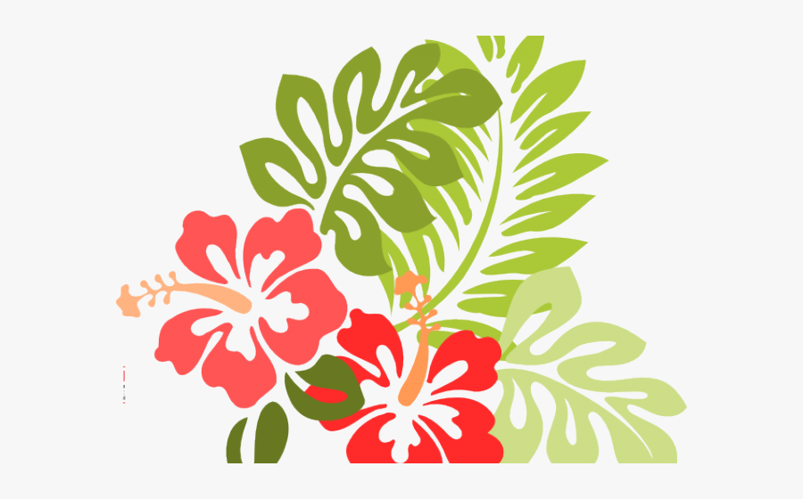 Flores De Hibisco Desenho, Transparent Clipart