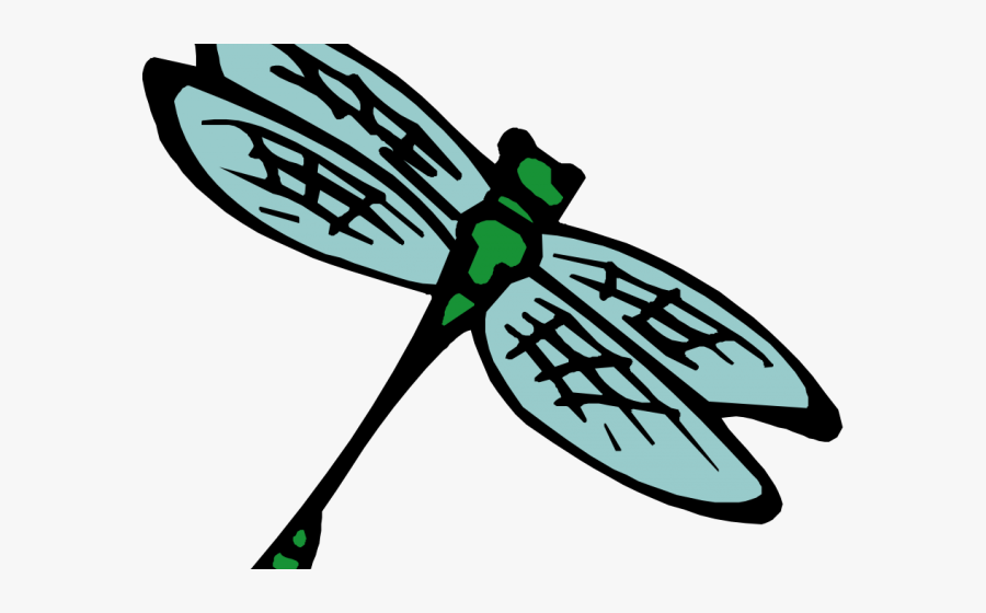 Insect Clip Art Transparent, Transparent Clipart