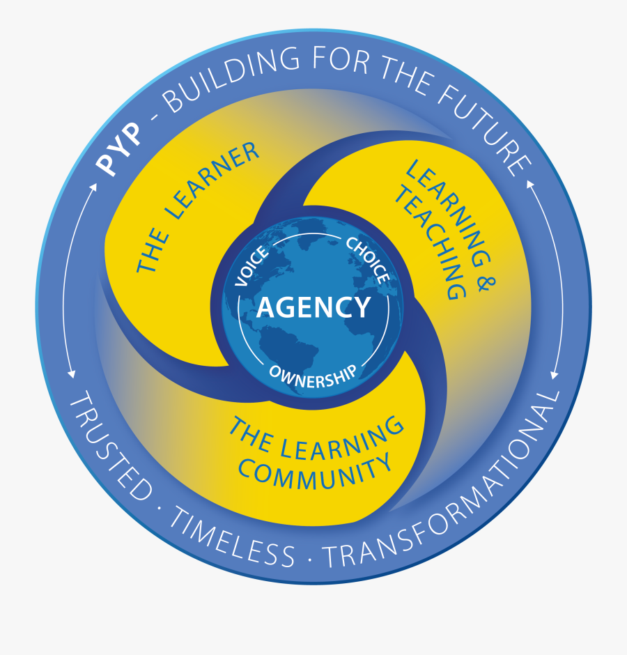 Middle Years Programme Model Colour [2mb] Png - Drainage Of Head And Neck, Transparent Clipart