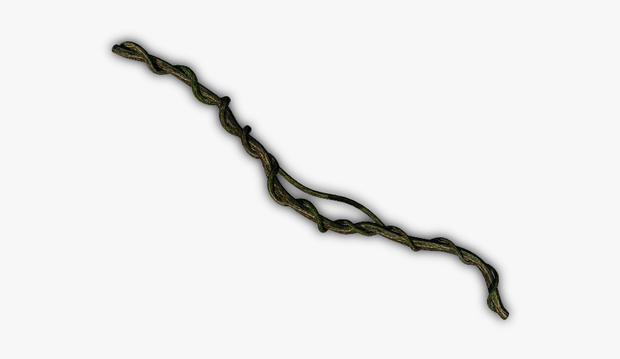 Jungle Vines, Transparent Clipart