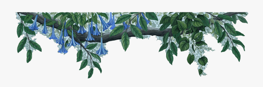Jungle Vine Png - Blue Flowers Border Png, Transparent Clipart