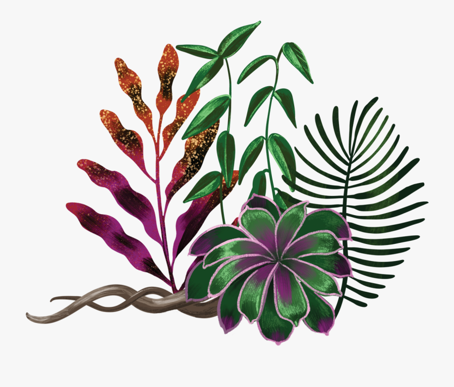 The Heart Of Whiteness Plant Illustration By Shyama - Ayahuasca Png, Transparent Clipart