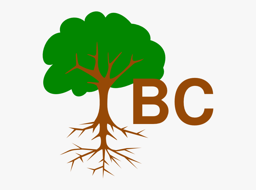 Immanuel Baptist Church Logo 3 Svg Clip Arts - Parts Of Tree Name, Transparent Clipart