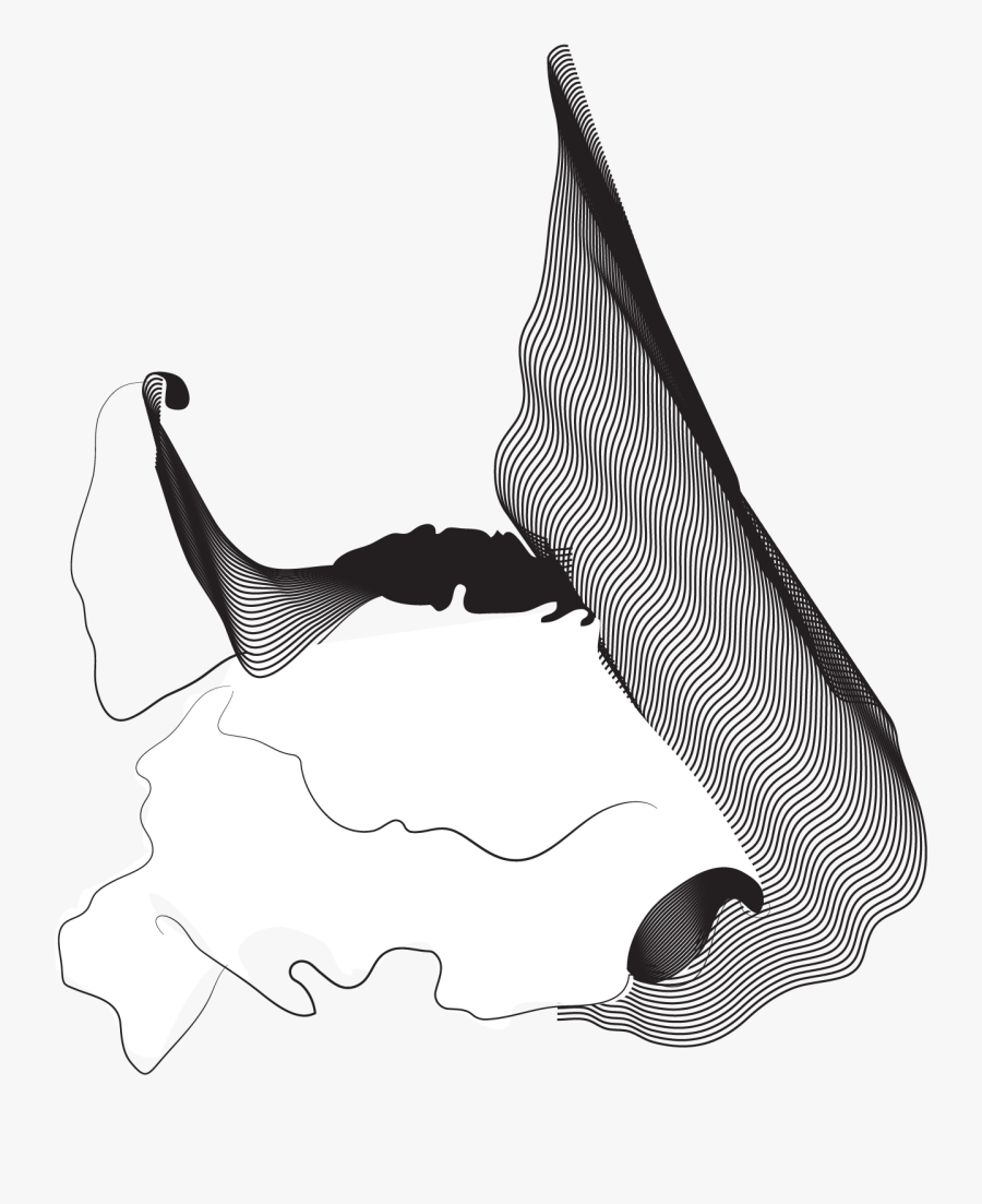 Illustration, Transparent Clipart