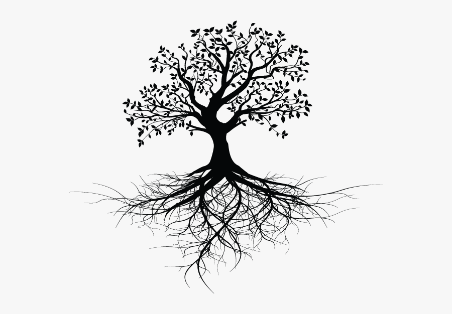 Tree With Roots Design - Tree With Roots Silhouette Png, Transparent Clipart