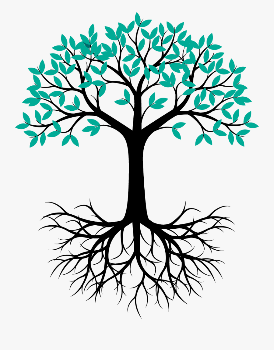 Tree With Roots Vector, Transparent Clipart