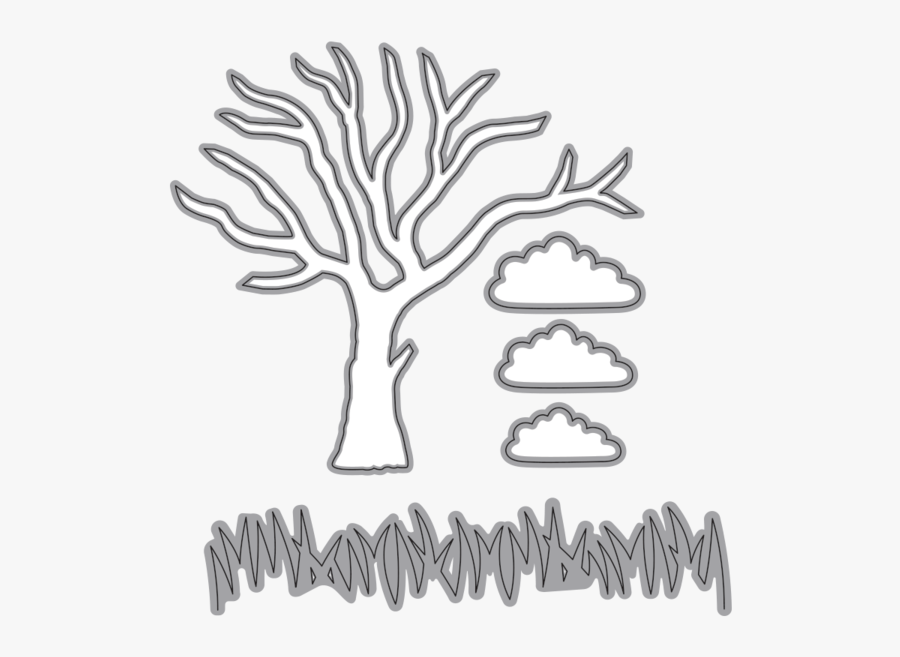 Lodgepole Pine, Transparent Clipart