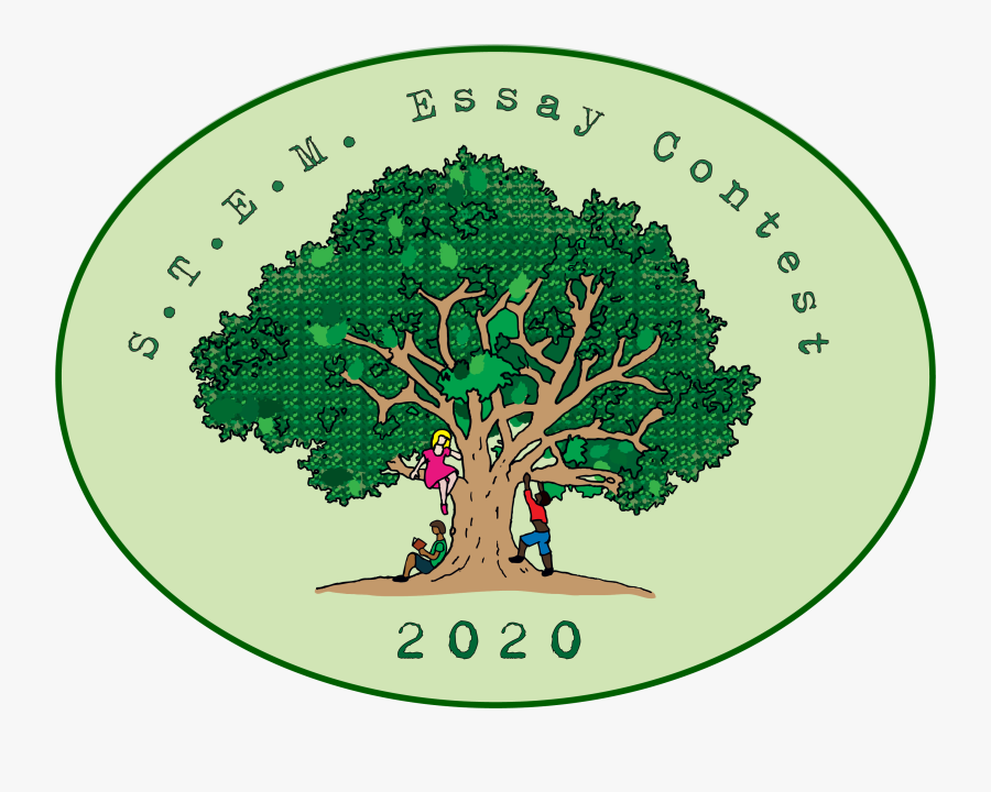 Transparent Tree With Roots Clipart, Transparent Clipart