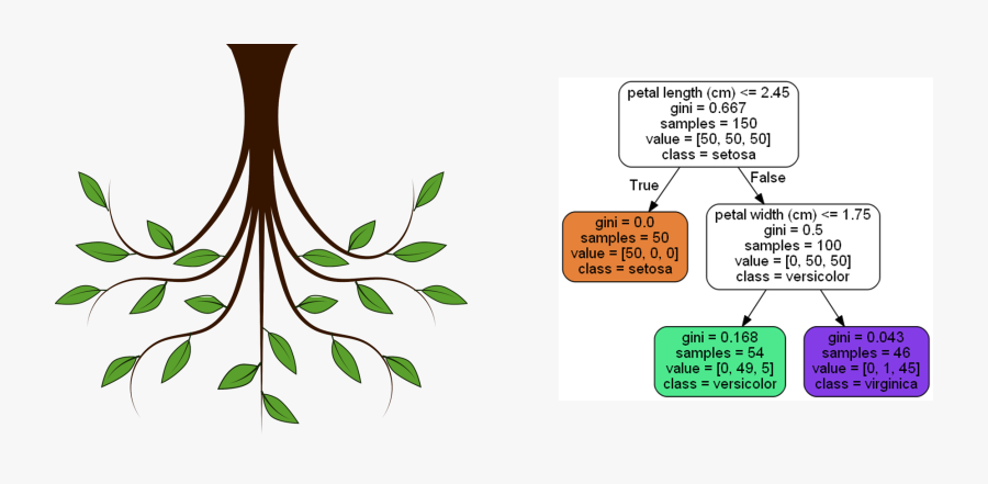 Scikit Learn Decision Tree, Transparent Clipart