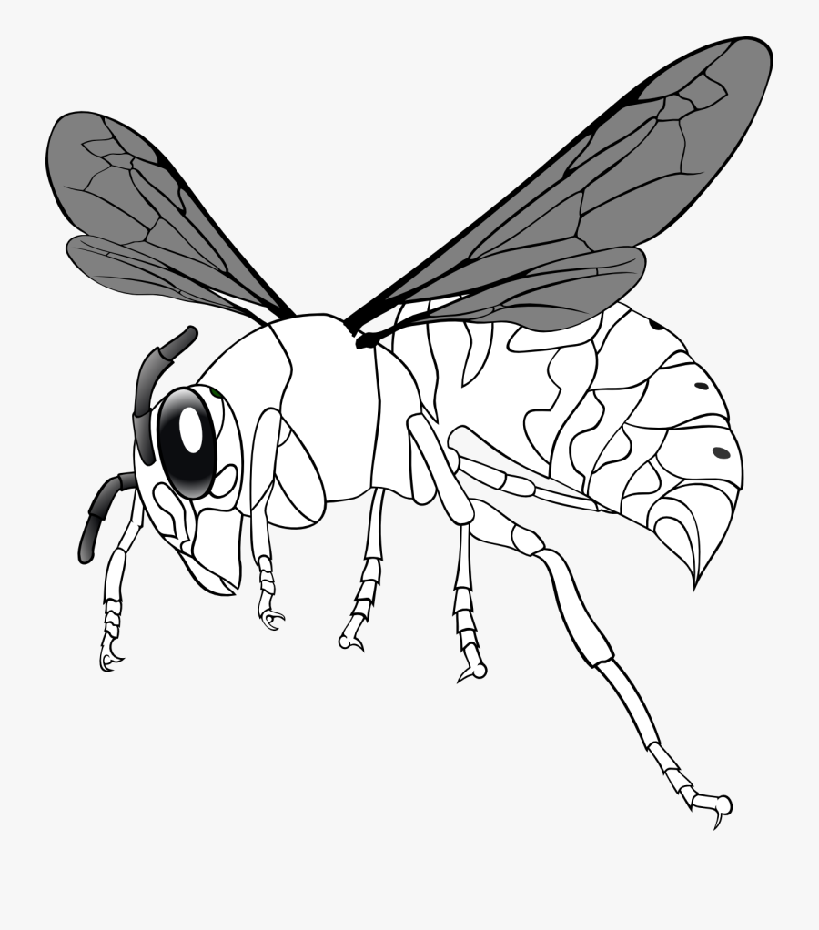 Bee Clipart Photos - Clip Art, Transparent Clipart