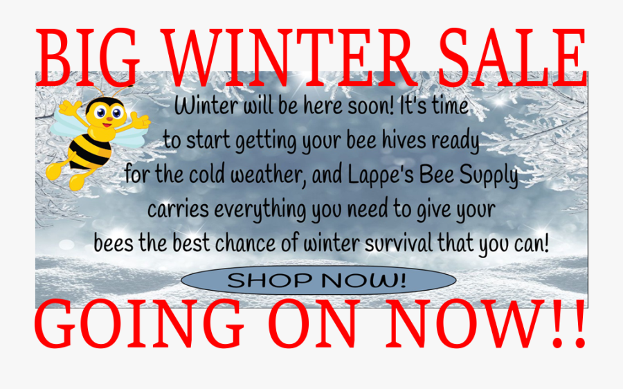 Honeybee, Transparent Clipart