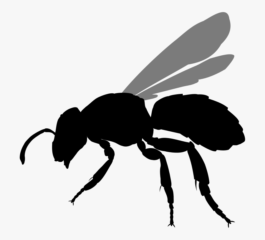 Bee Silhouette Png - Background Stingless Bee Png, Transparent Clipart