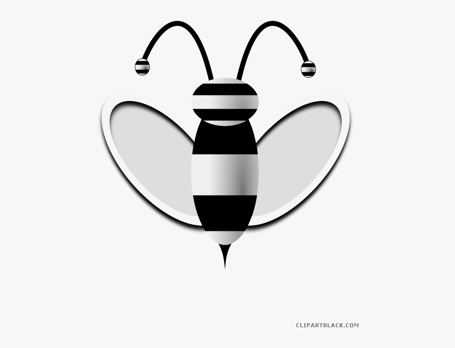 Bee Animal Free Images Clipartblack - Clip Art, Transparent Clipart