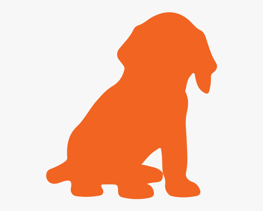 Photo Updates Clipart , Png Download, Transparent Clipart