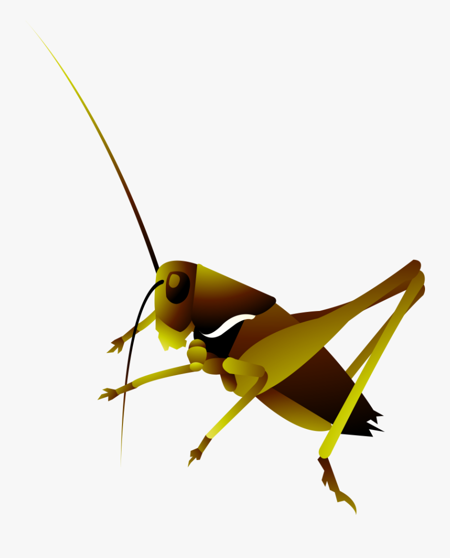 Clip Art Grasshopper Insect Hand Painted - Locust, Transparent Clipart