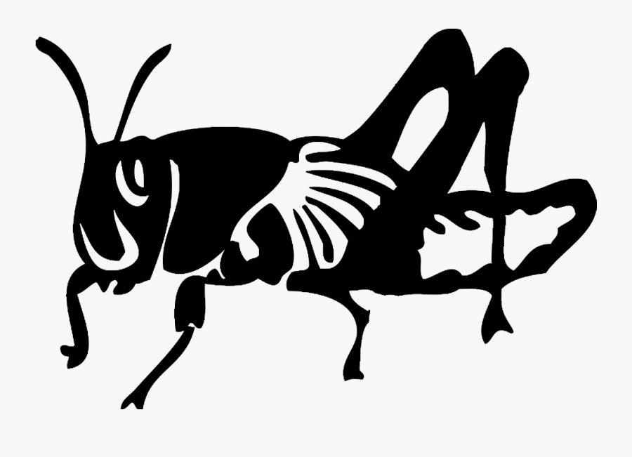 Locust Drawing Black And White - Locust Black And White, Transparent Clipart