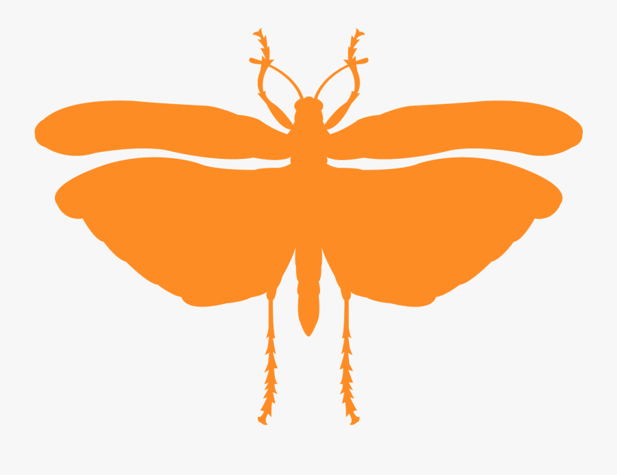 Locust Silhouette, Transparent Clipart