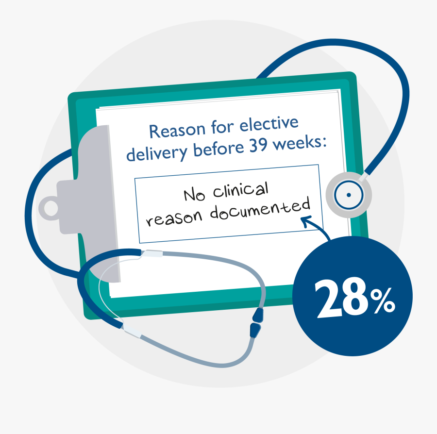 Circle, Transparent Clipart