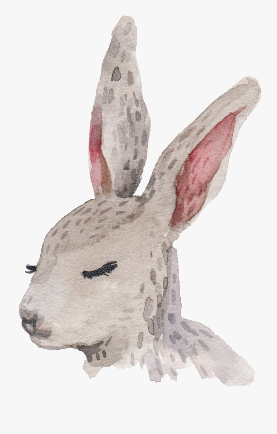 Vector Rabbit Brown - Rabbit, Transparent Clipart