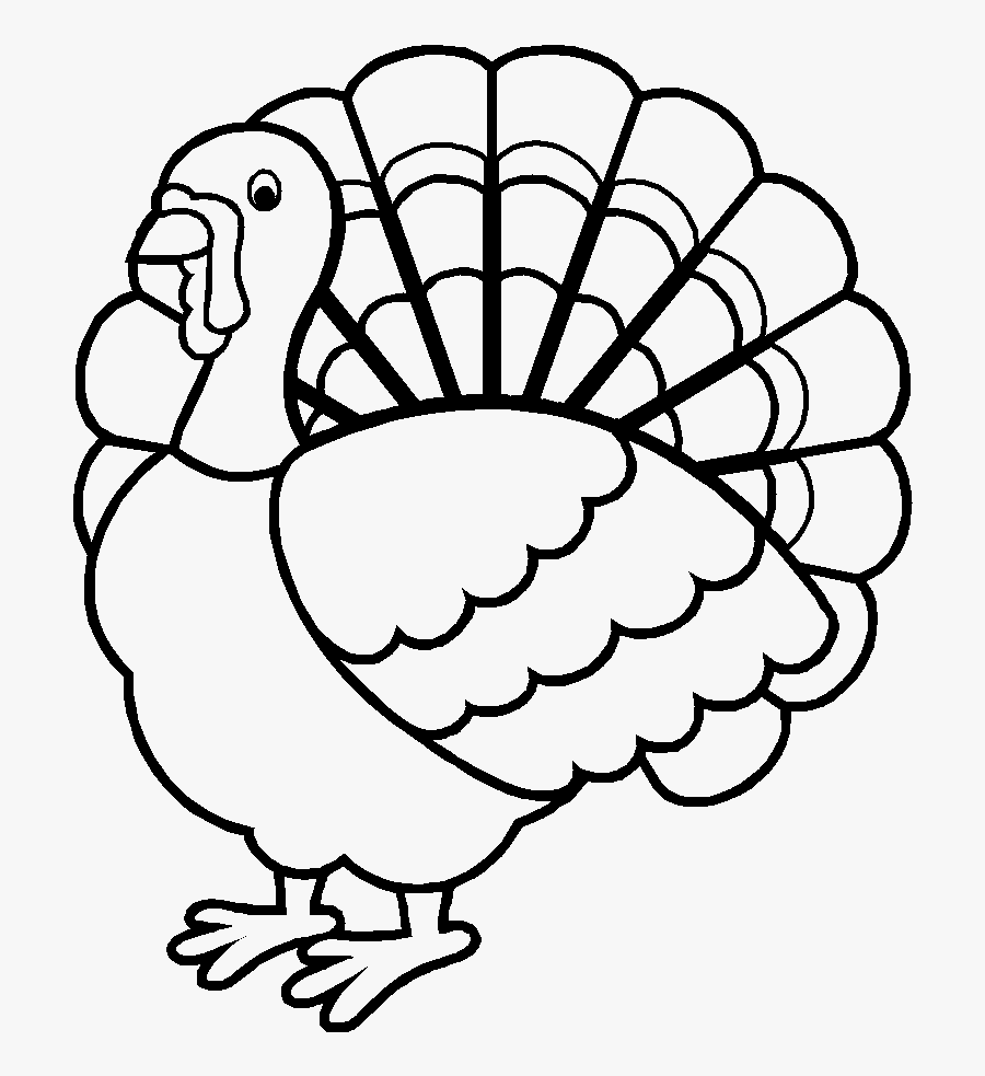 Beautiful Wild Turkey Coloring Pages - Happy Thanksgiving Coloring Pages, Transparent Clipart