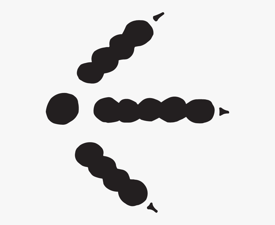 Turkey Tracks Clipart, Transparent Clipart