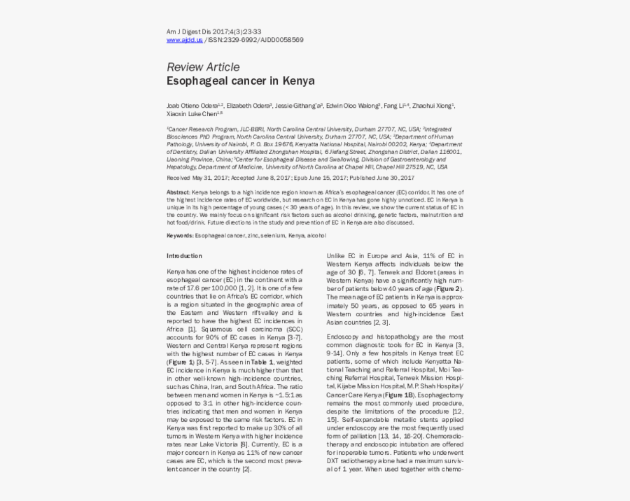 Document, Transparent Clipart