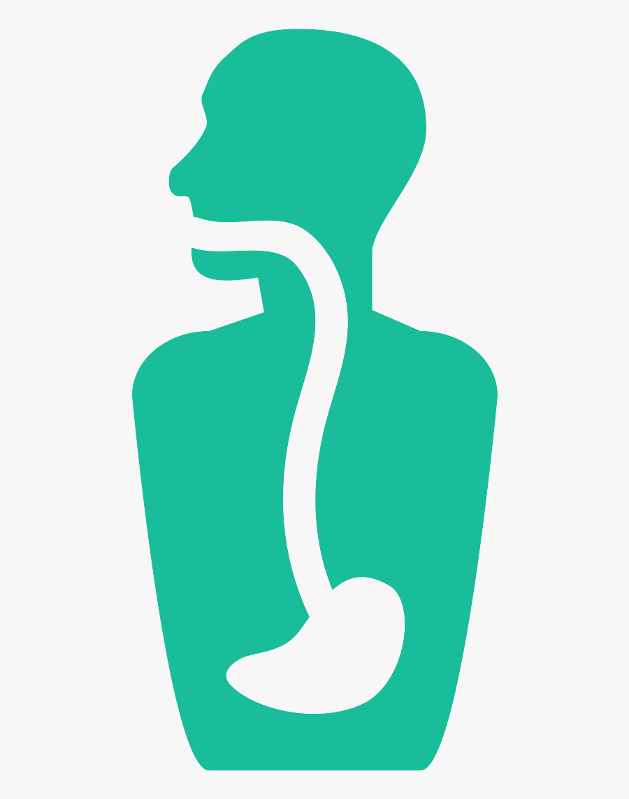 Esophageal Dilation In San Antonio - Portable Network Graphics, Transparent Clipart