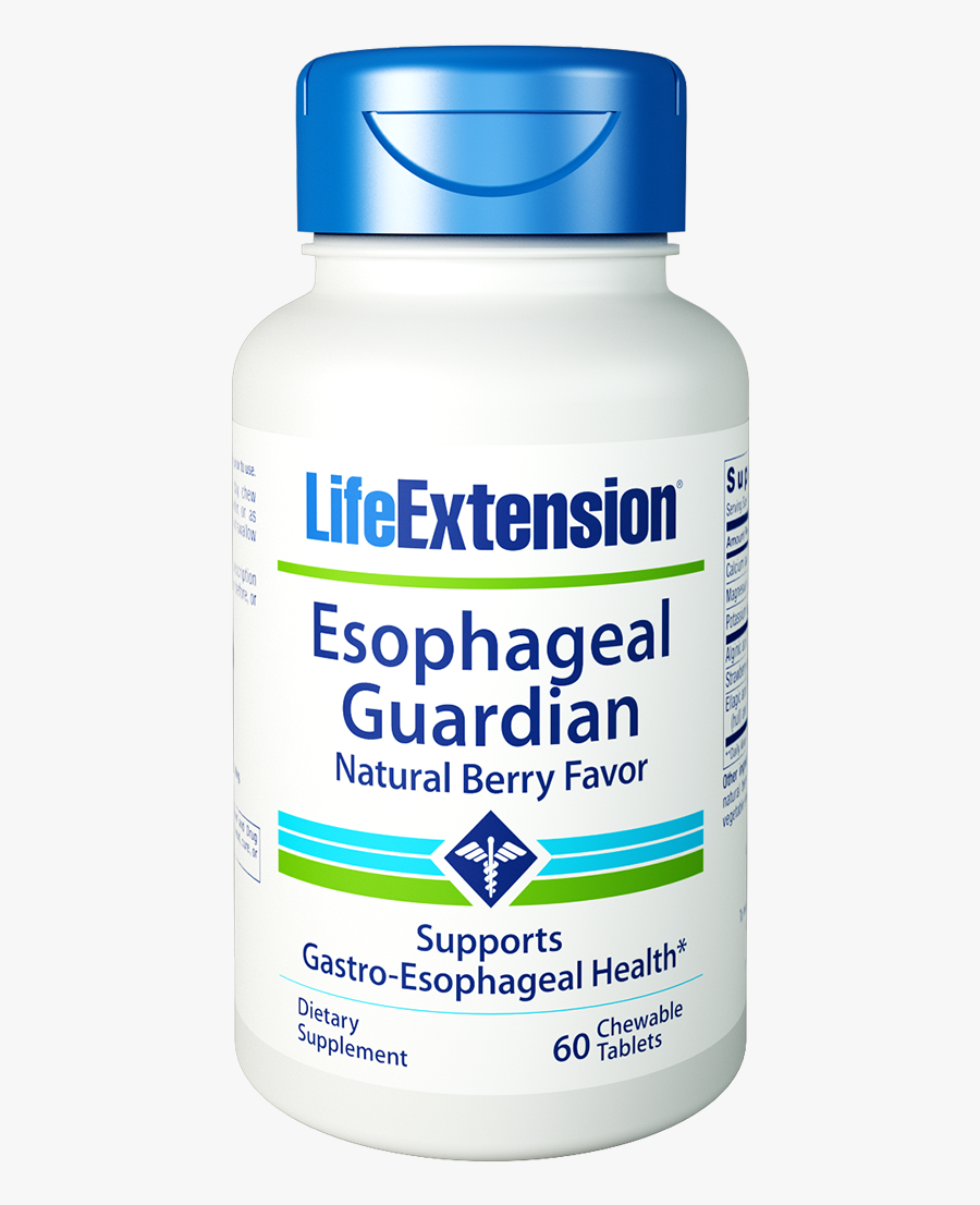 Transparent Esophagus Png - Life Extension 7 Keto Dhea Metabolite 25 Mg, Transparent Clipart