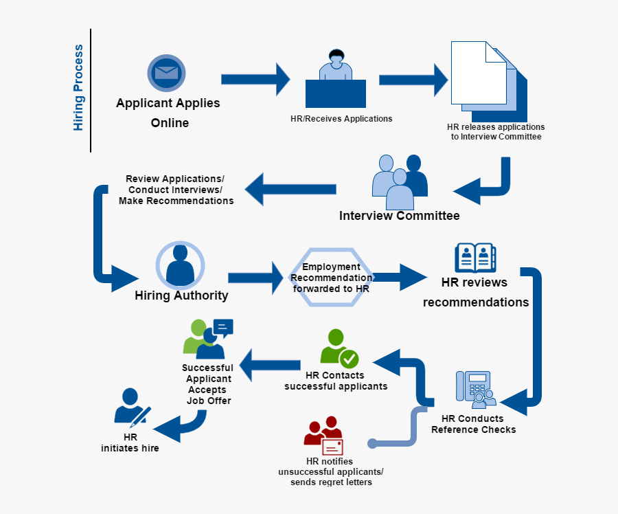 Human Resources Flow Chart, Transparent Clipart