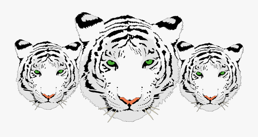 Transparent Tiger Png - White Tiger Clip Art, Transparent Clipart