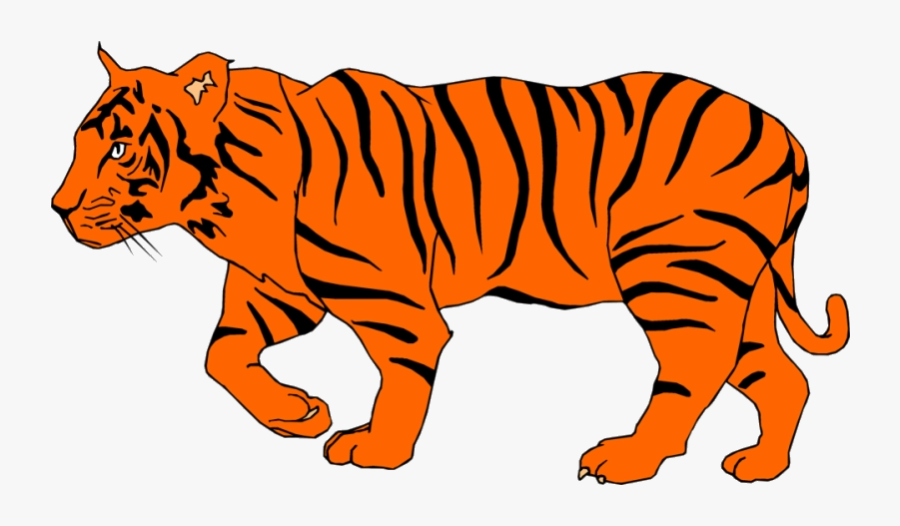 Tiger White Clipart Depauw Illustration Of Transparent - Transparent Background Clip Art Tiger, Transparent Clipart