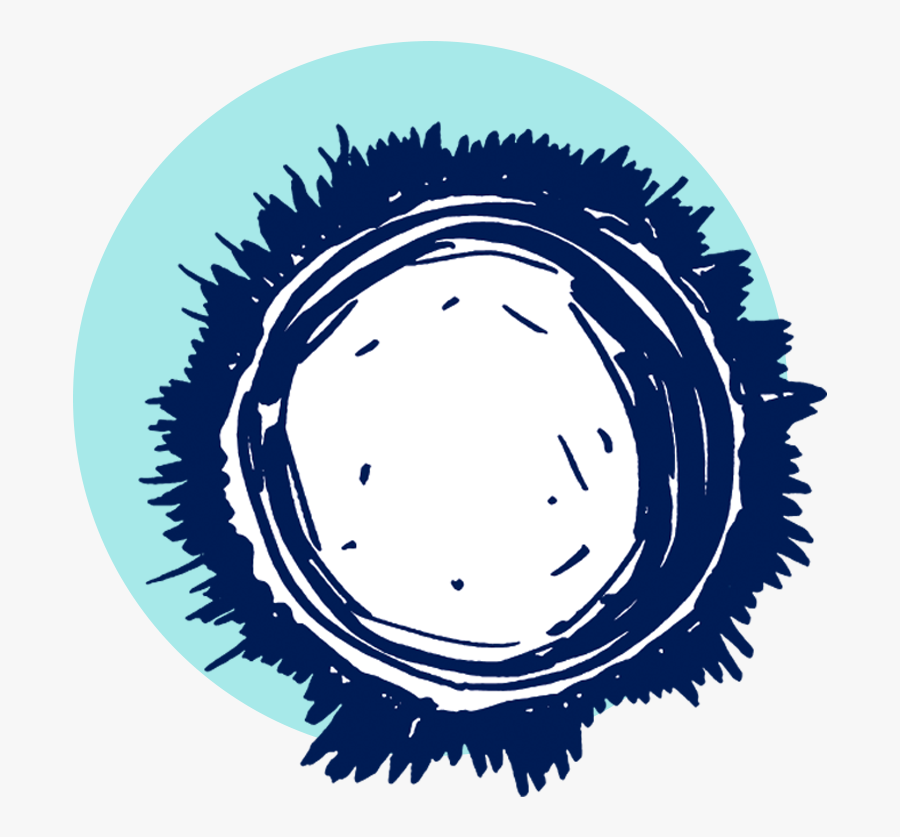 Circle, Transparent Clipart