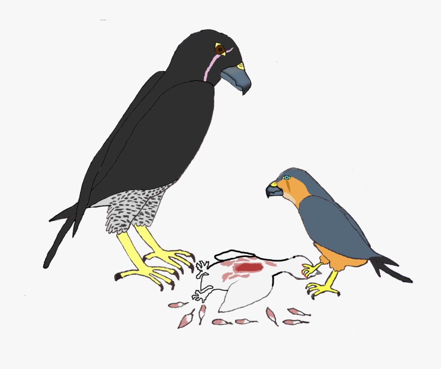 Flightless Bird, Transparent Clipart