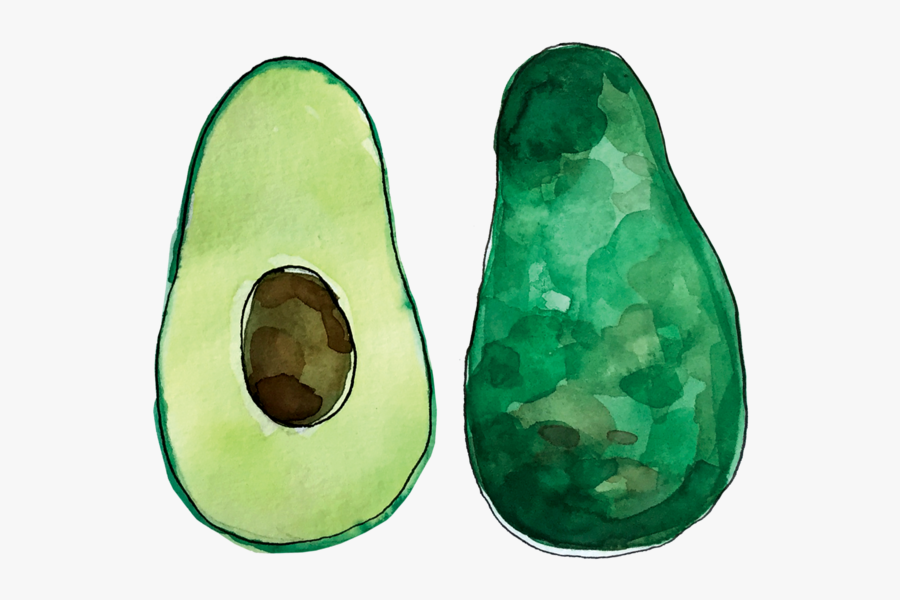 Avo June2018 Lyndsay - Legume, Transparent Clipart