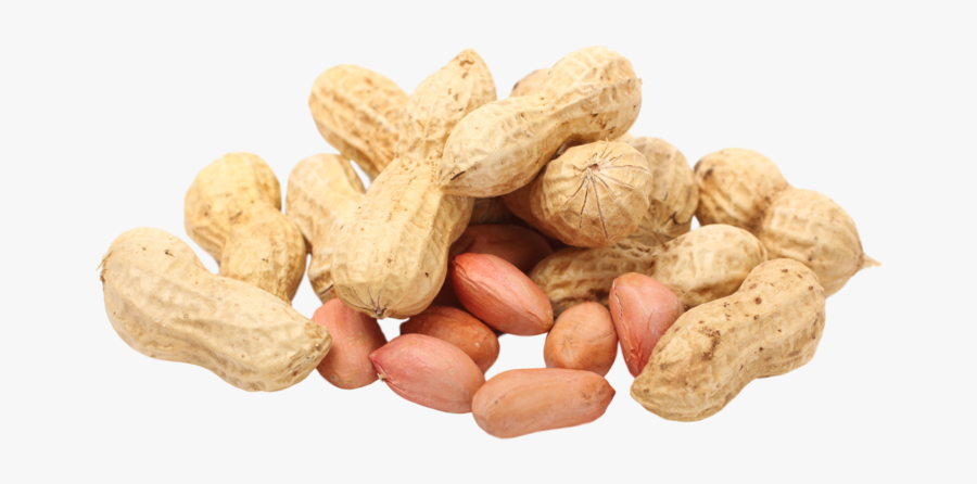 Transparent Transparent Background Peanut, Transparent Clipart