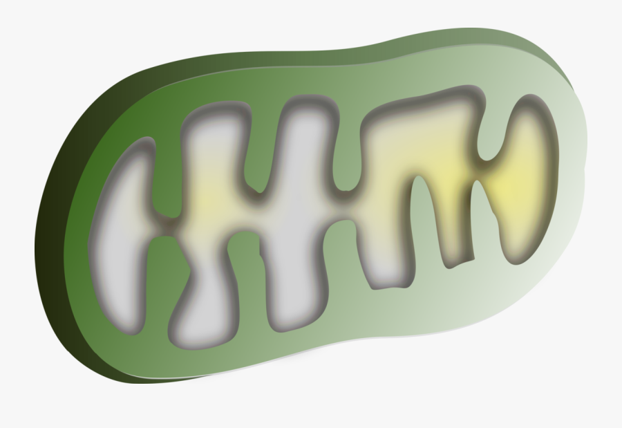 Text,green,finger, Transparent Clipart