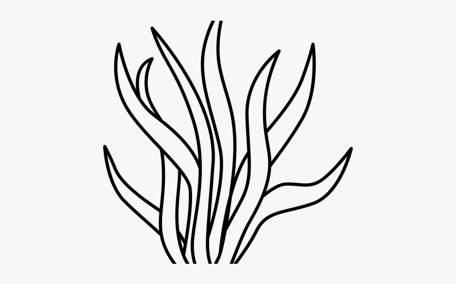 Seaweed Pattern Black And White, Transparent Clipart