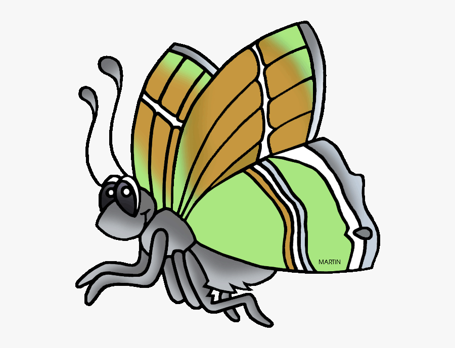 New Mexico State Butterfly Sandia Hairstreak - Sandia Hairstreak Butterfly Cartoon, Transparent Clipart