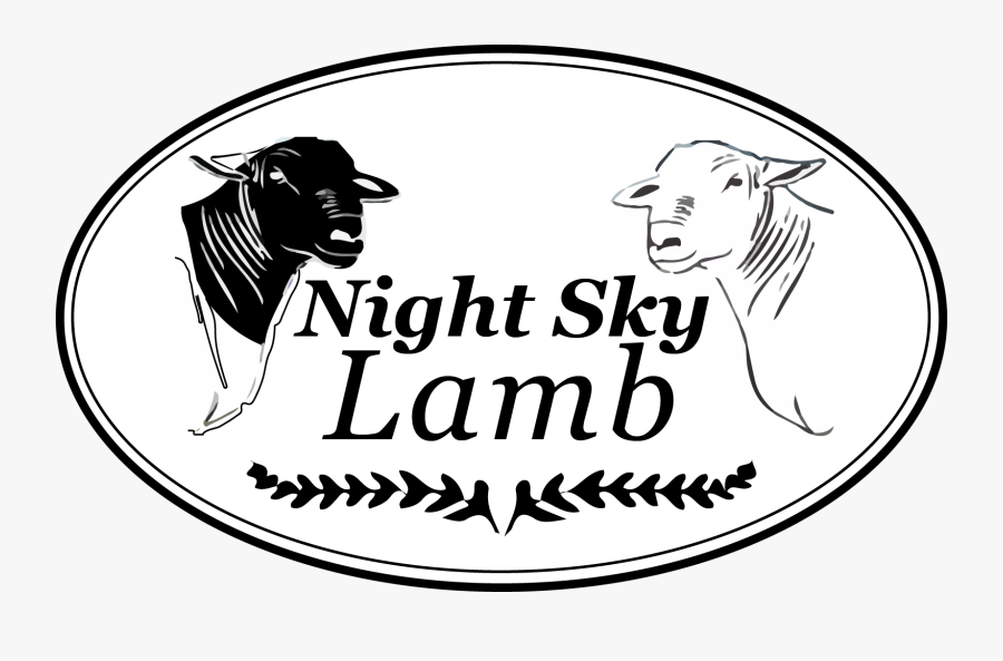 Clip Art New Mexico Night Sky - Illustration, Transparent Clipart