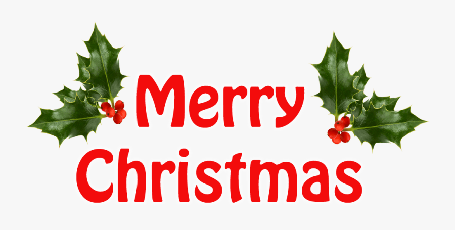 Transparent Holly Berries Png - Merry Christmas With Holly, Transparent Clipart