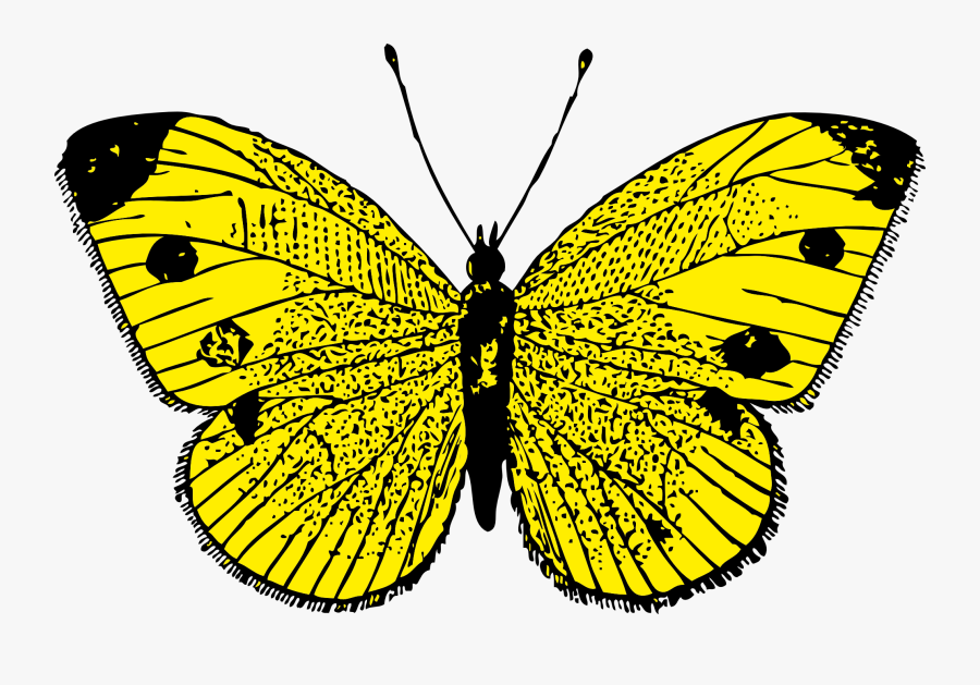 Butterfly Png Image Yellow Butterfly Moving Animation , Free