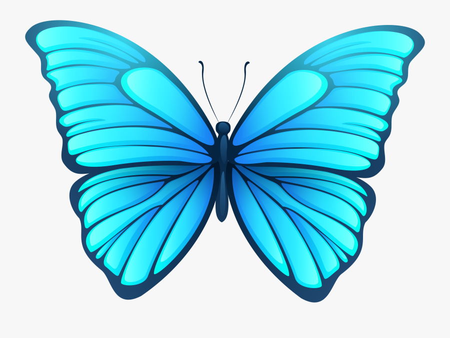 Butterfly Png Images - Transparent Background Butterfly Png, Transparent Clipart