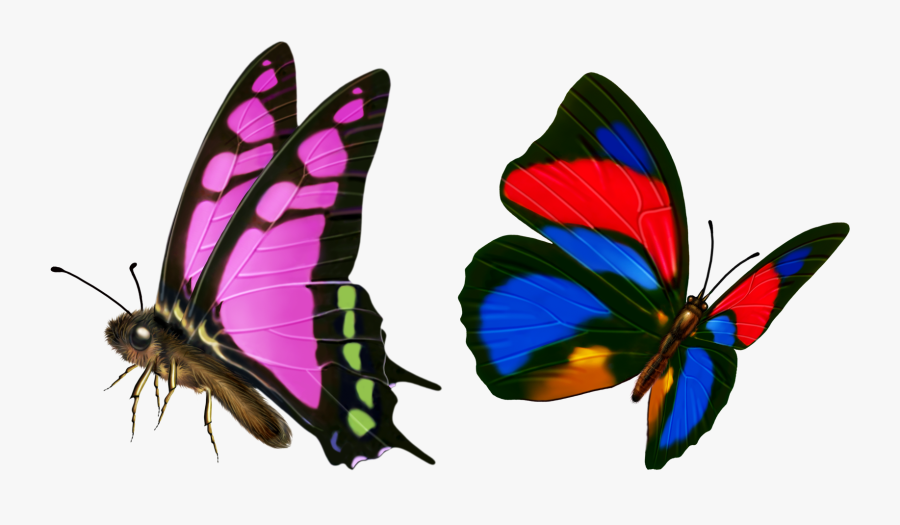 Butterfly Transparency And Translucency Icon - Butterfly Transparency, Transparent Clipart