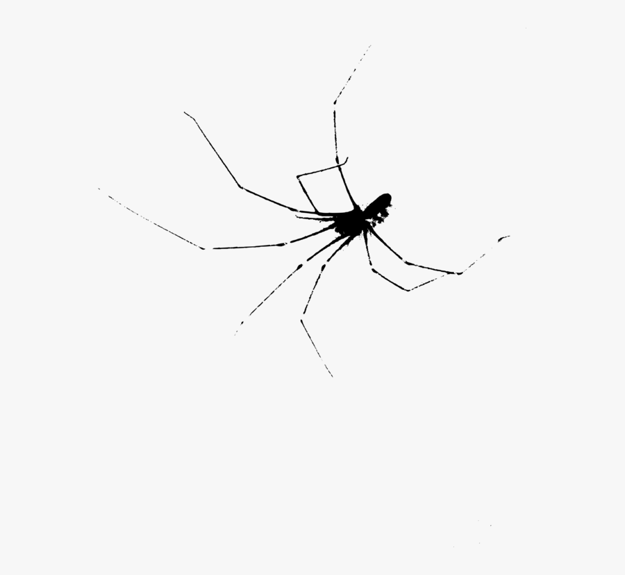 Transparent Spider Clipart - Spider Web, Transparent Clipart